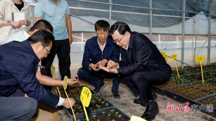 胡昌升在庆阳平凉调研