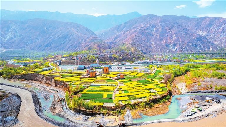 宕昌县两河口镇两河口村和沙湾镇雅园村百亩油菜花竞相绽放