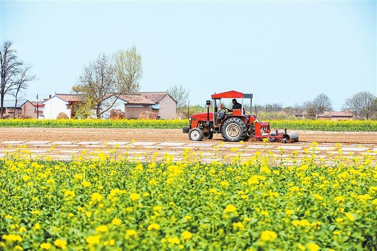 宁县新庄镇店头赵村村民抢抓农时开展春耕春播作业
