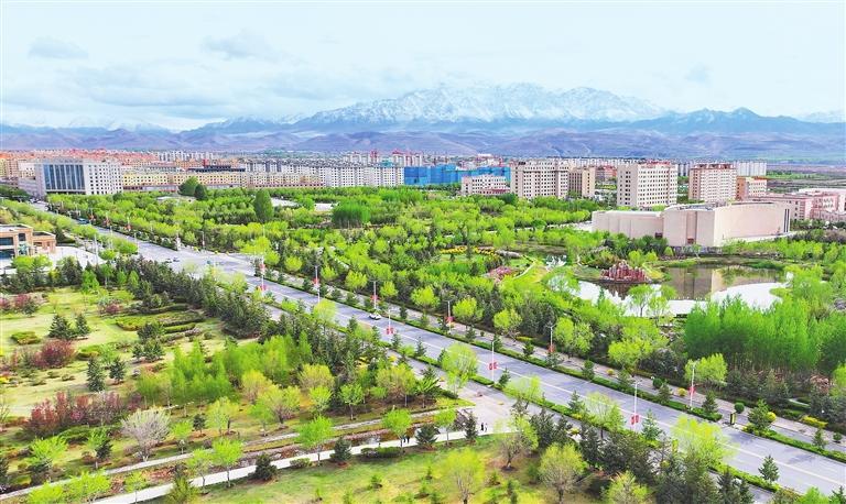 雨过天晴的民乐县北区生态公园郁郁葱葱